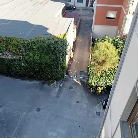 Arturo - * Viareggio